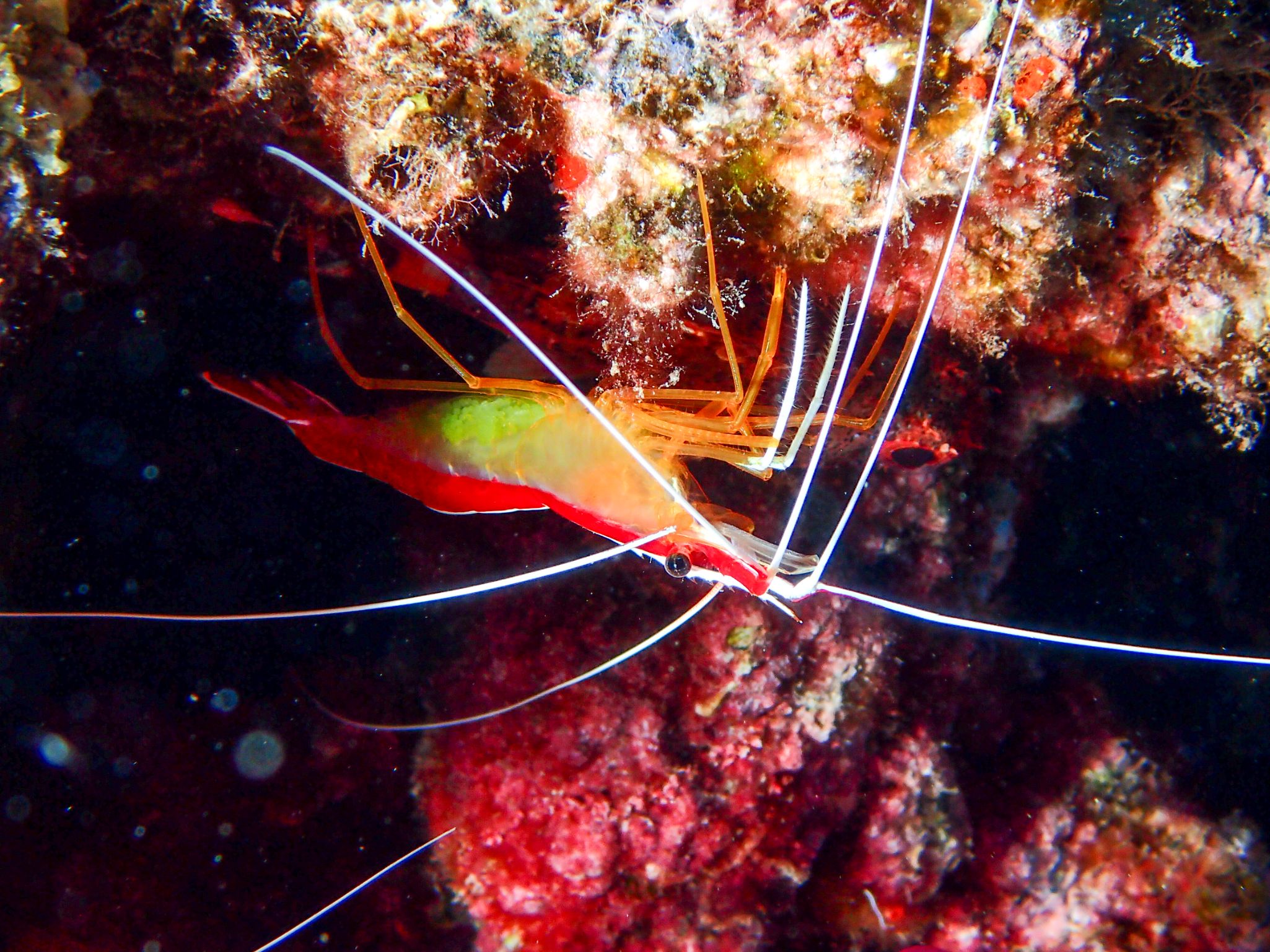 P7200031