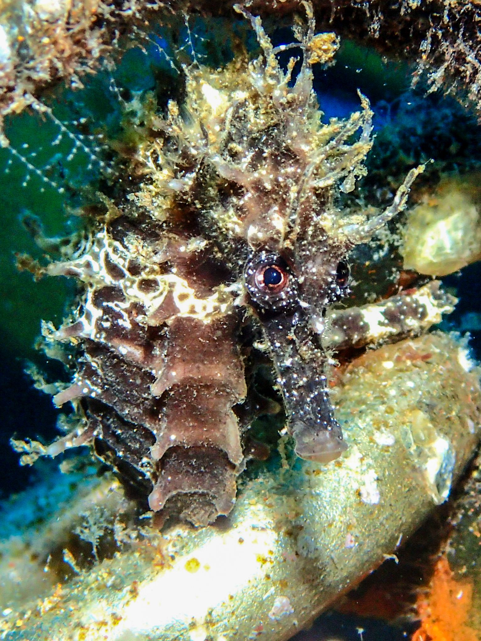 P7280002