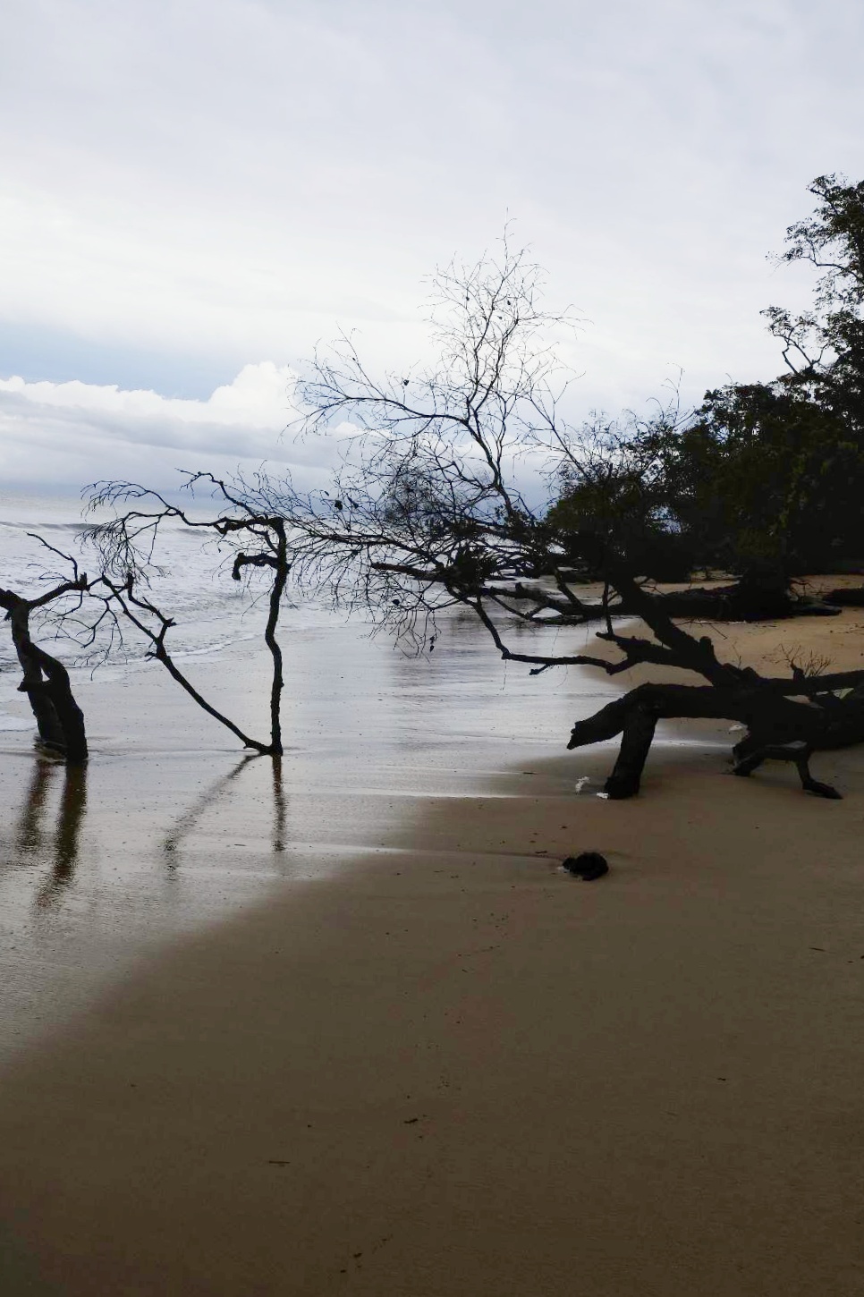 IMG 20221009 WA0050 01