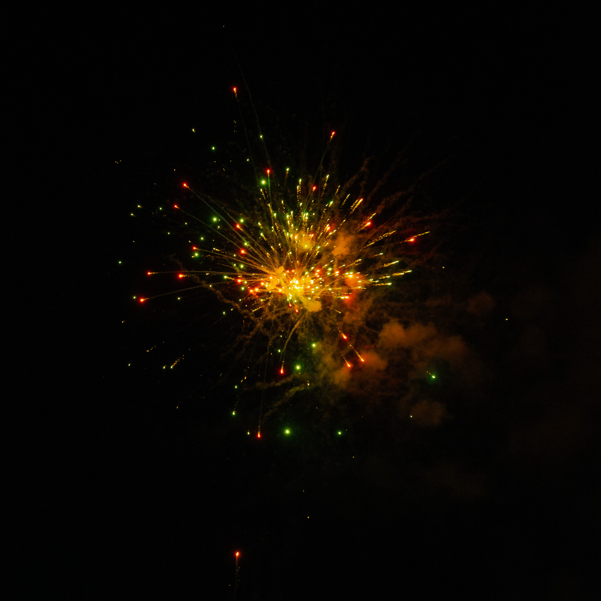 Ramassa 20250621 2955