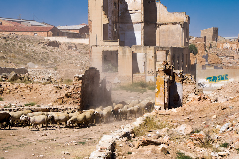Belchite  IGP8080 100911 90