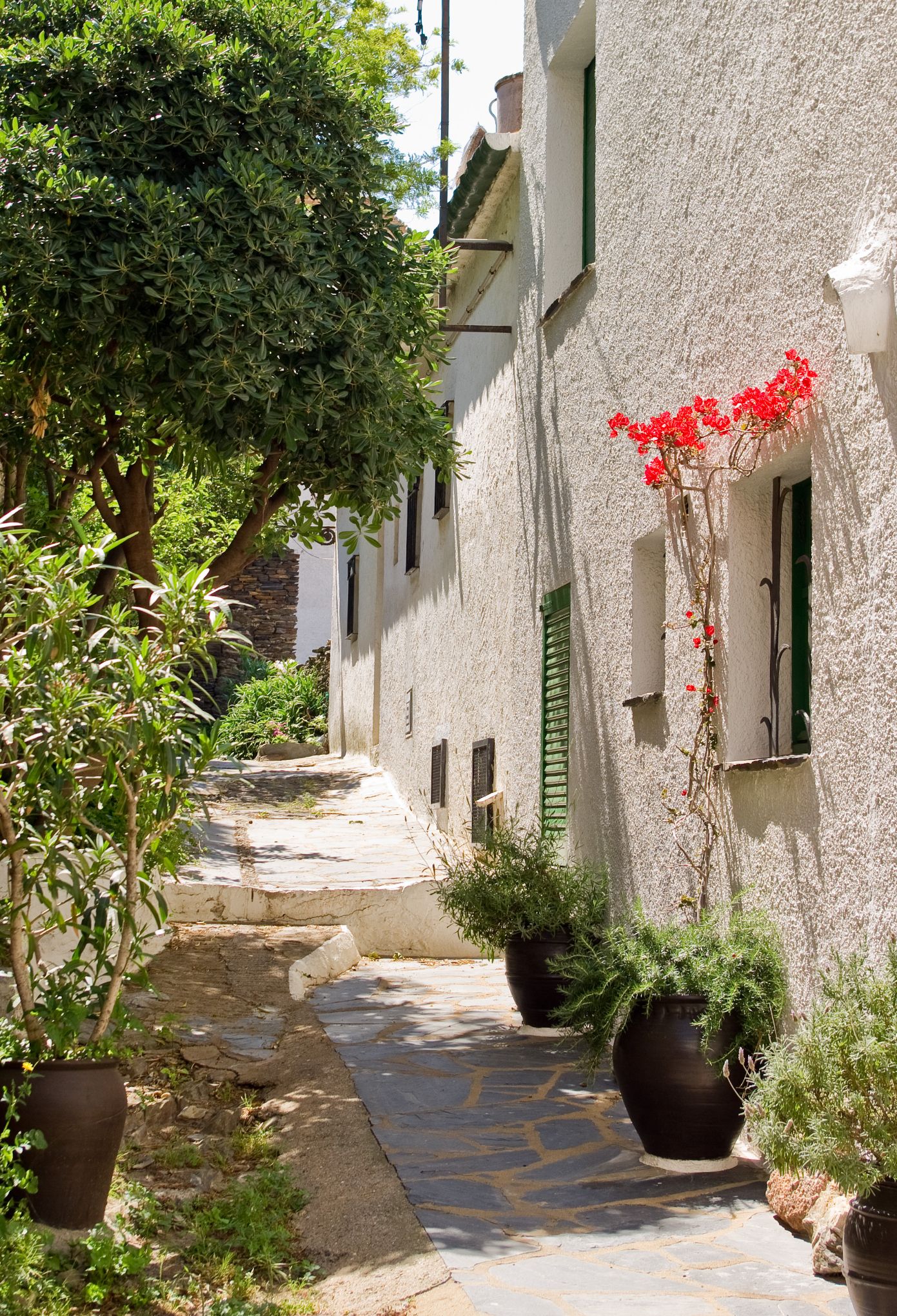 Cadaques20100605 24