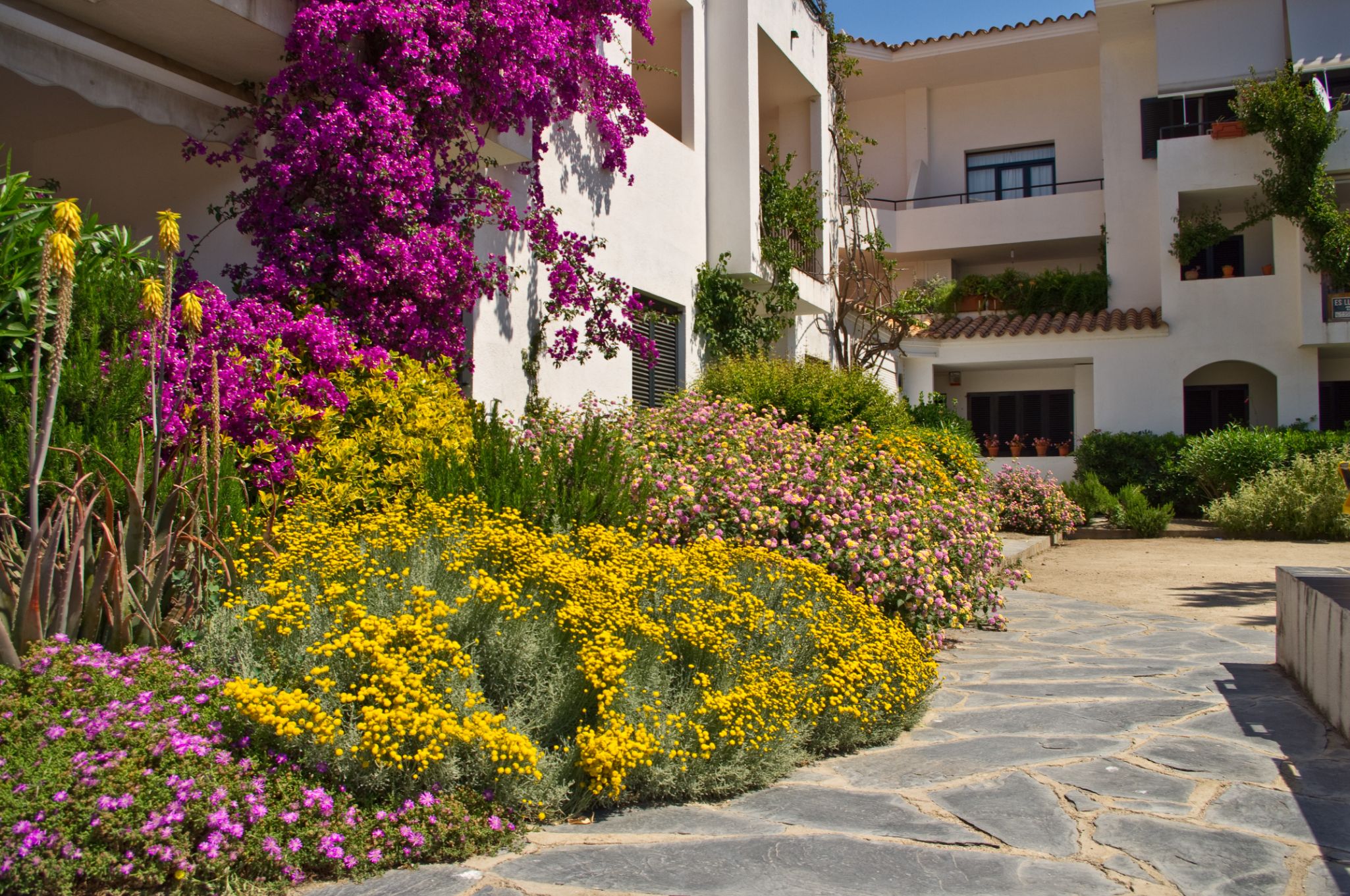 Cadaques20100605 40