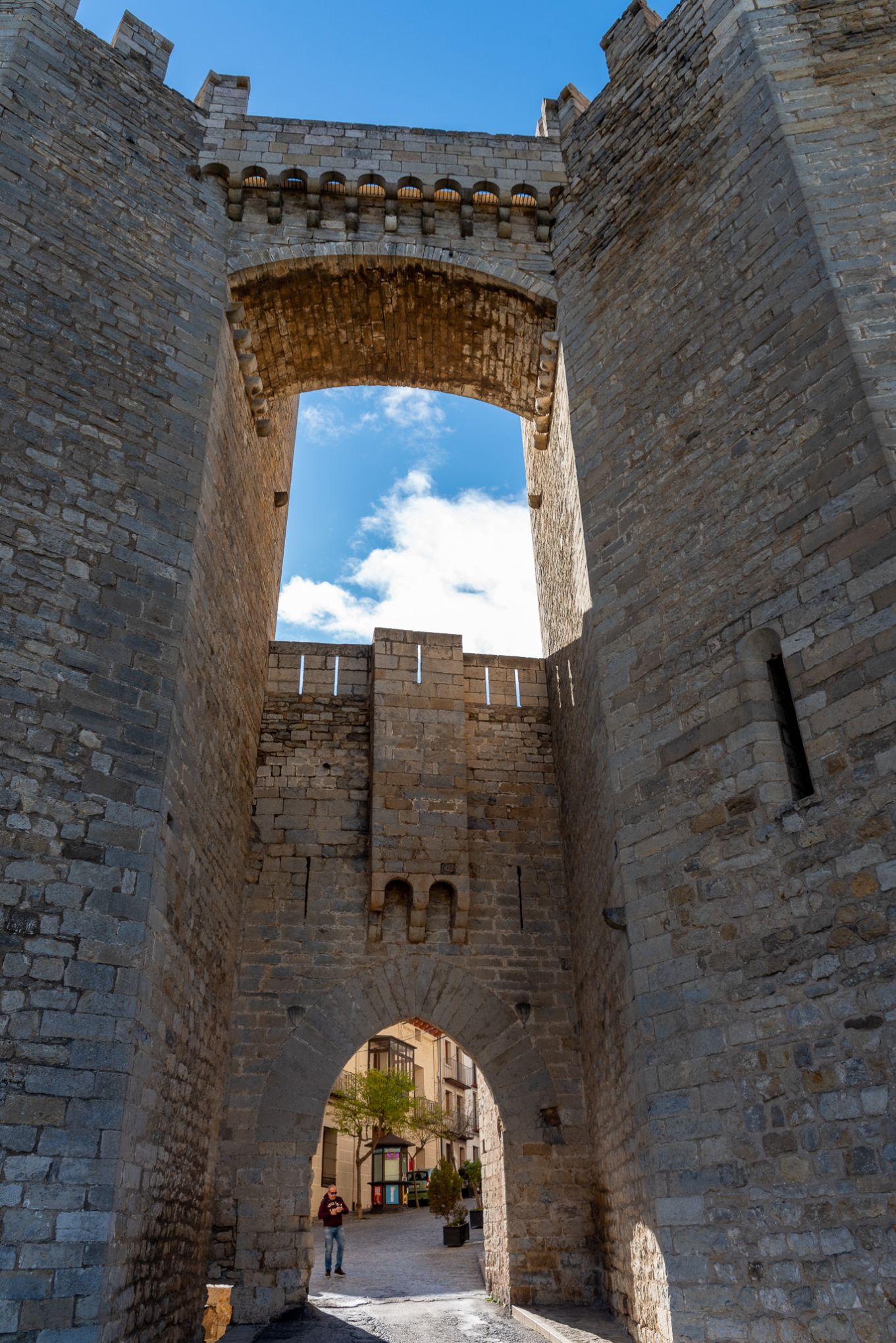 Morella 20241123 0105