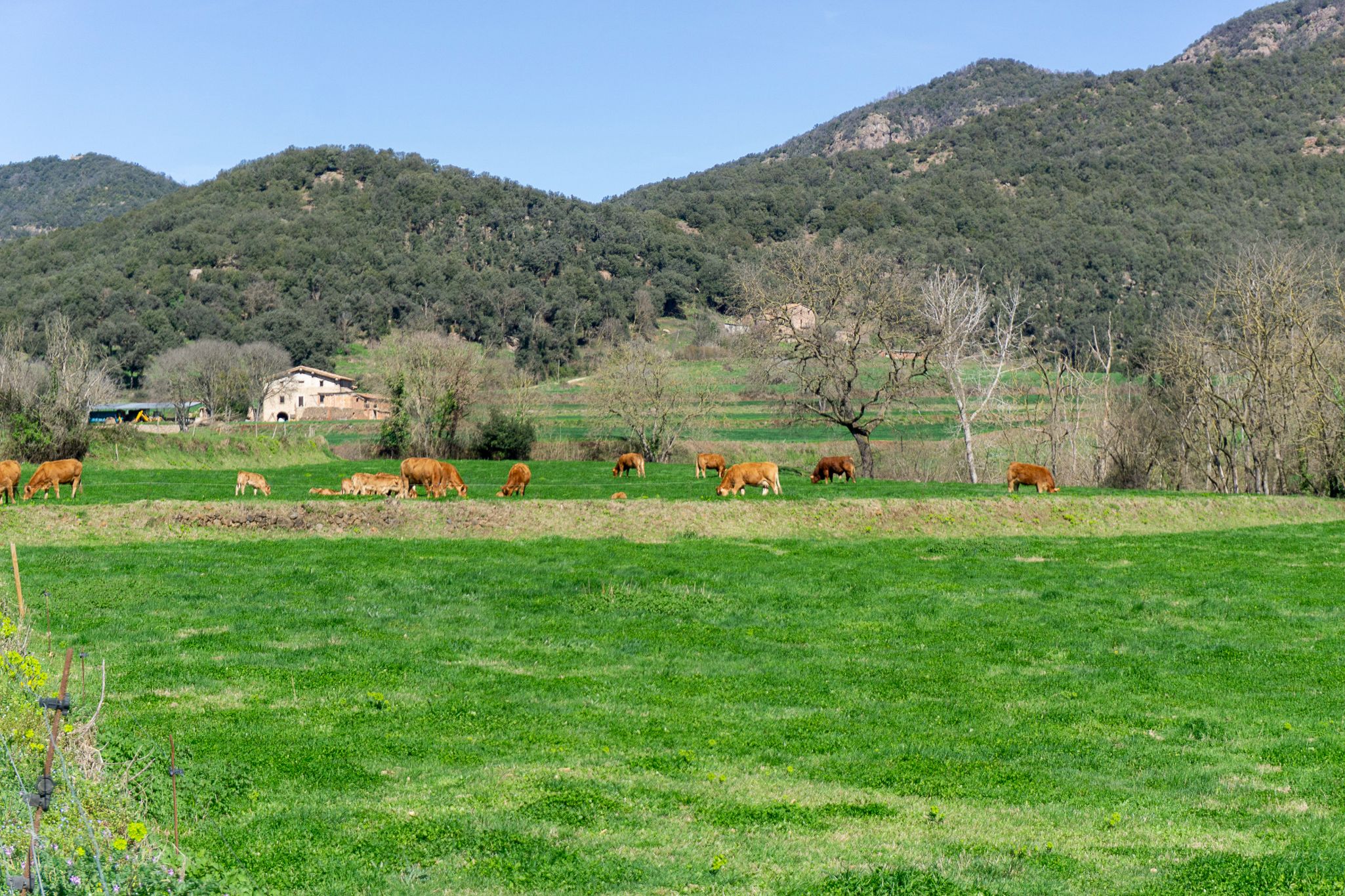 DSC05080