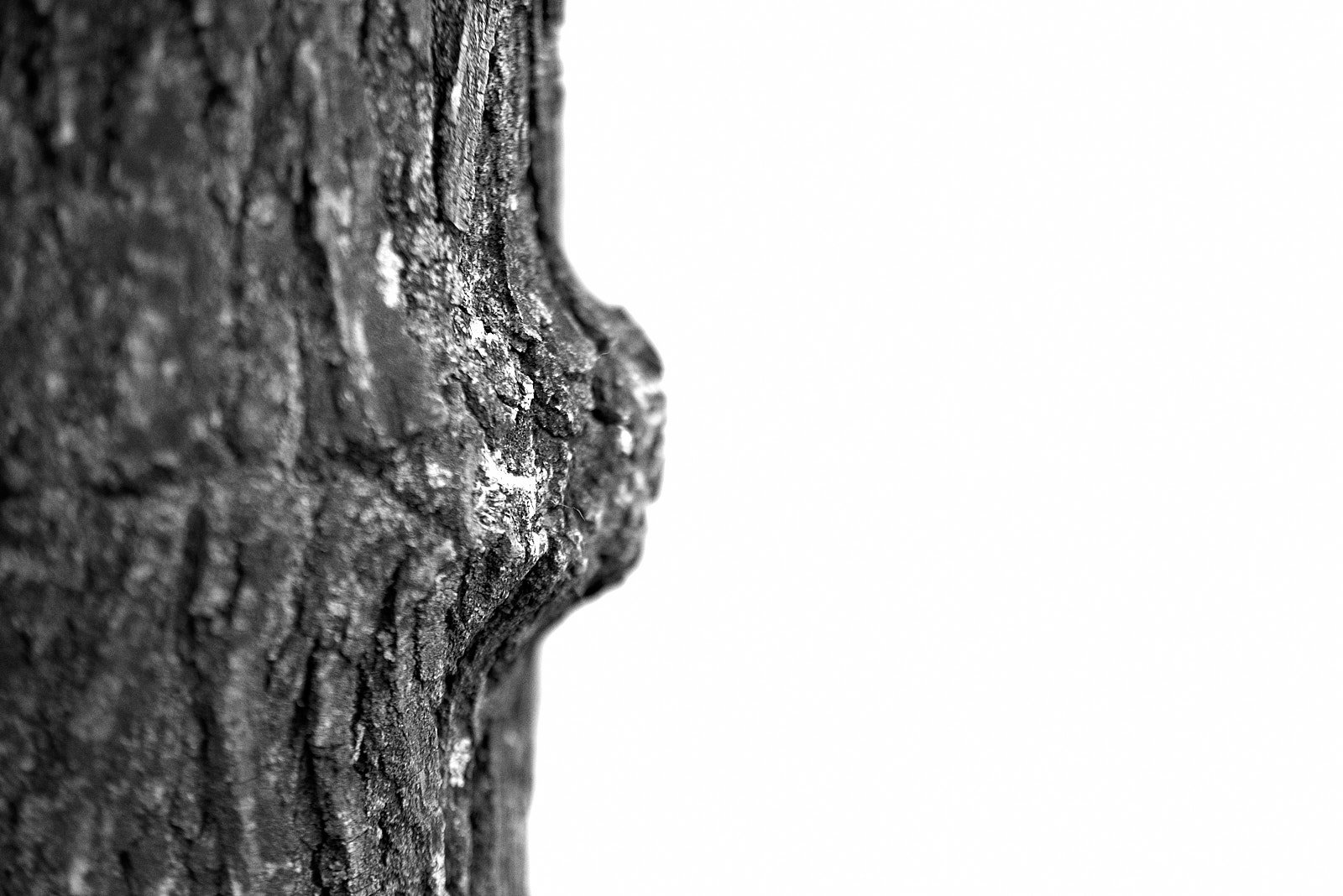 Macro