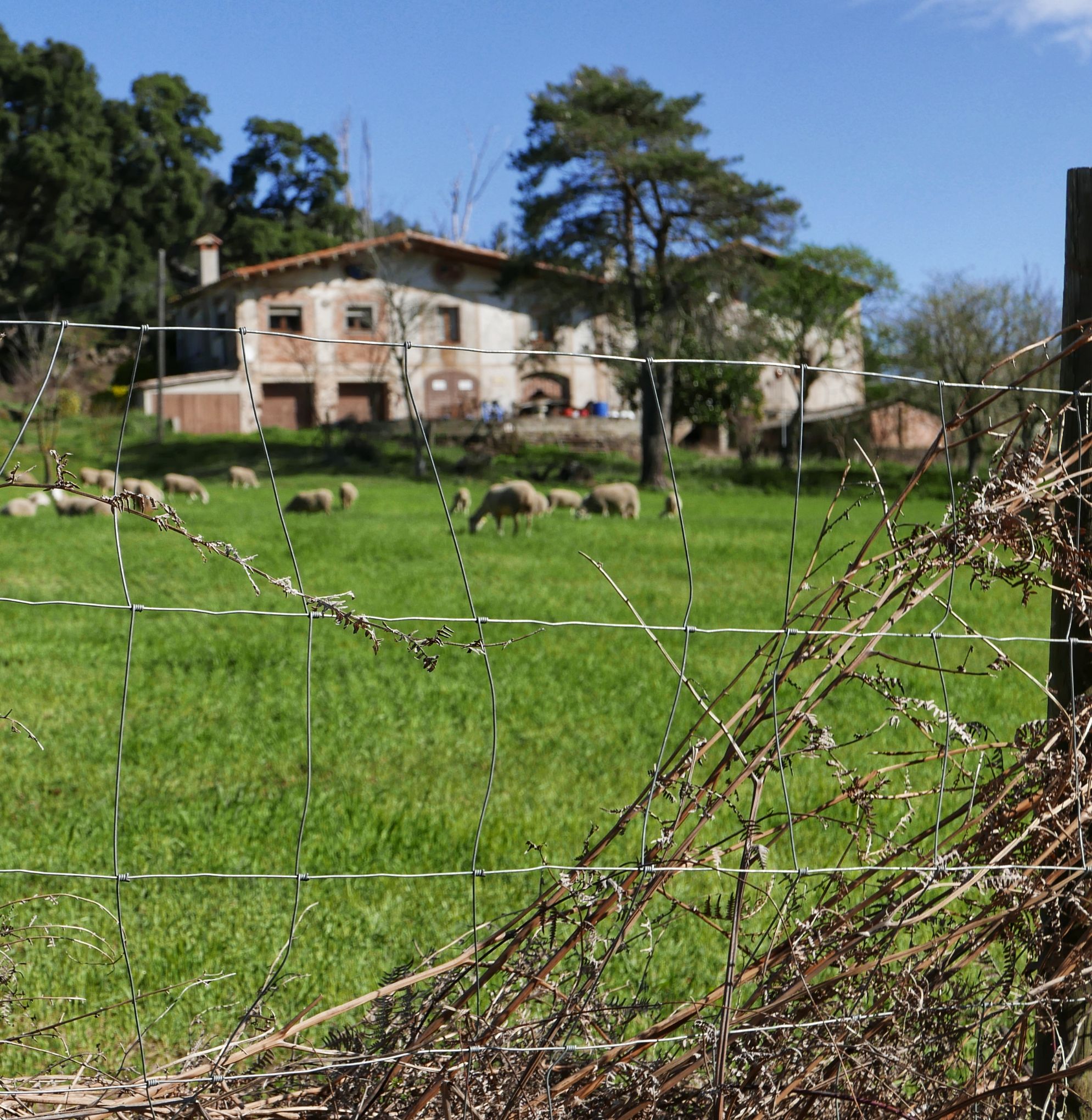 Sortides Caminaires